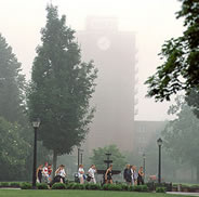 images/main_image1.jpg 184px wide by 182px high