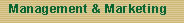 Department  of Management and Marketing