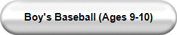 Boy's Baseball (Ages 9-10)