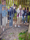 CoolePark_a