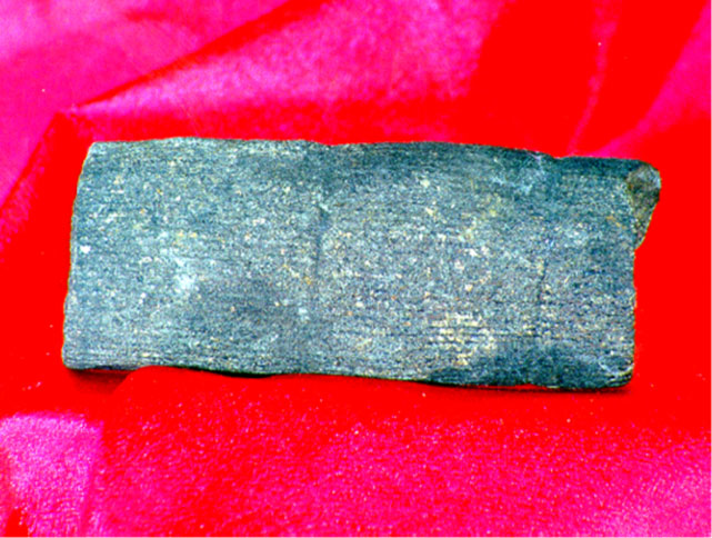 Sphenopsid