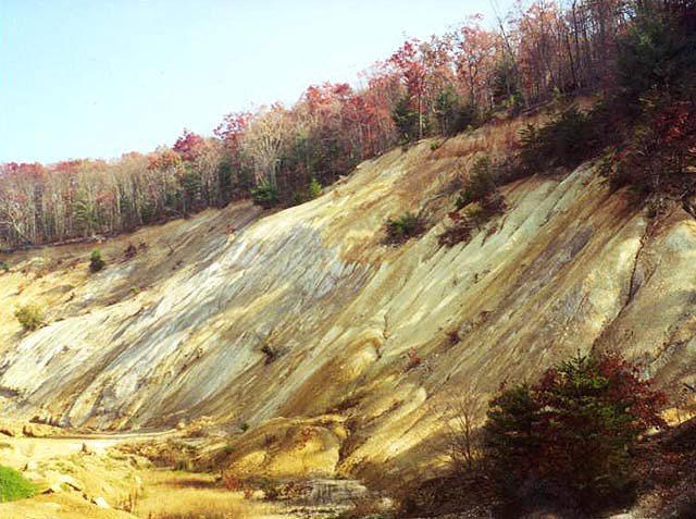 Pulaski Limonite
