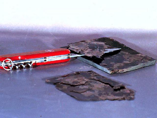 Biotite