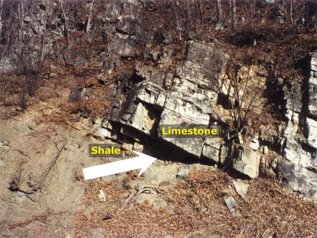 Reverse Fault