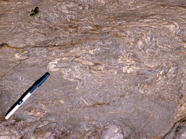 Piedmont folding