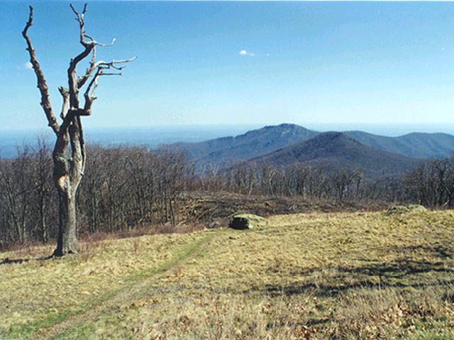 Old Rag Mountain