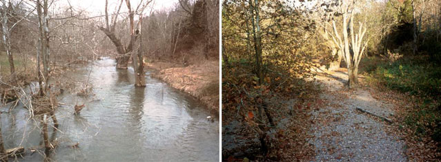Sinking Creek