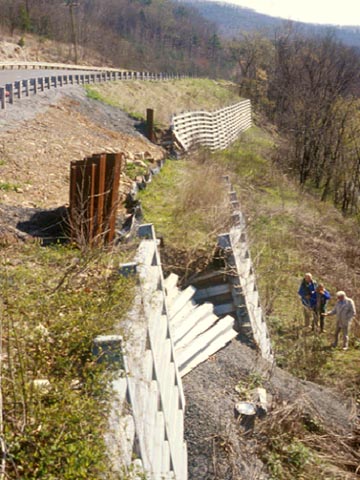 Narrows Landslide