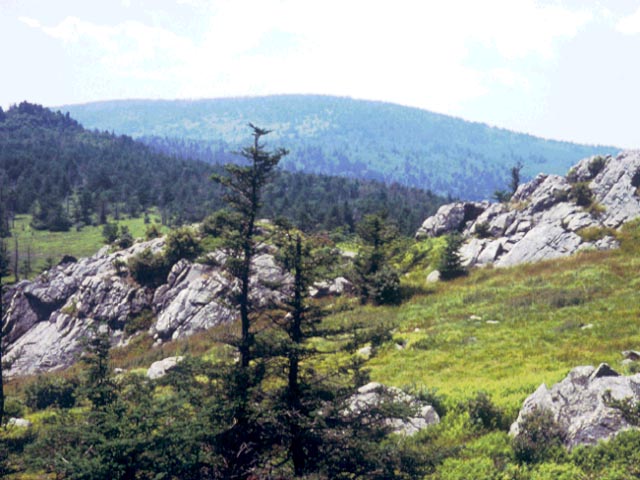 Wilburn Ridge