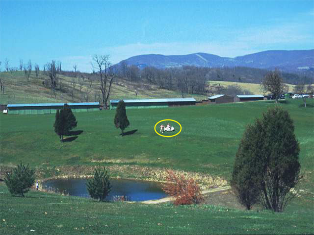 Sinkhole