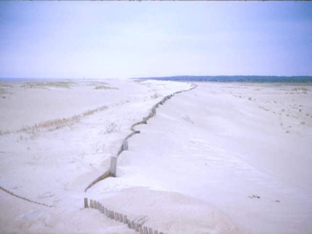 Dune fence