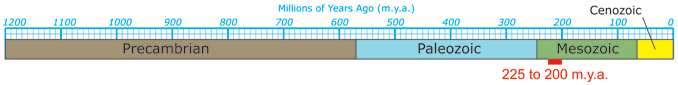 Timeline