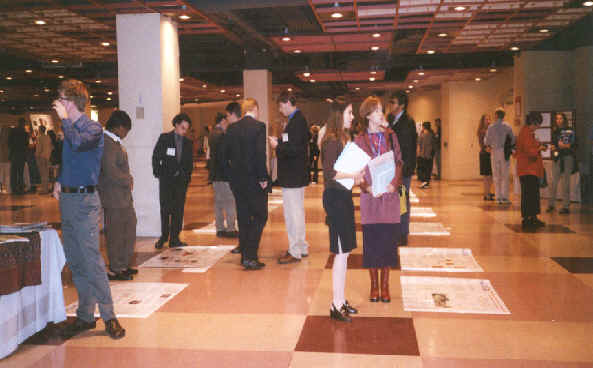 wpe2.jpg (30843 bytes)