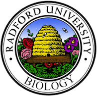 Bee Hive Logo